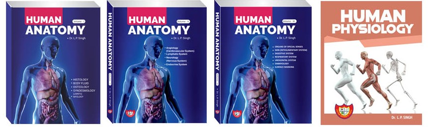 Dr L P Singh's Human Anatomy Volume 1 , Vol II & Vol III & physiology Paperback – 1 January 2022